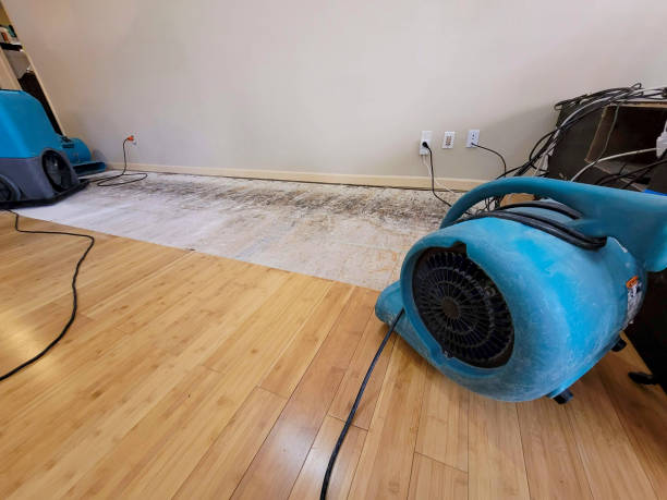 Professional Basement Flood Cleanup technician working in Buchanan, TN
